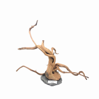 Branch Wood L - E