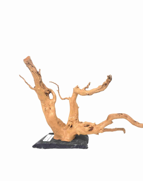 Branch Wood M - A