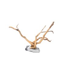 Branch Wood M - B