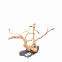 Branch Wood M - C