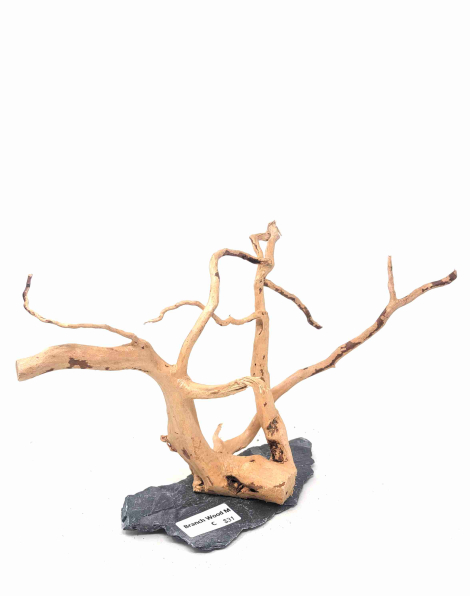 Branch Wood M - C
