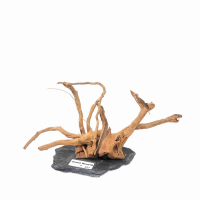 Branch Wood M - F