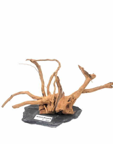 Branch Wood M - F
