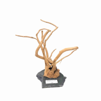 Branch Wood S - A