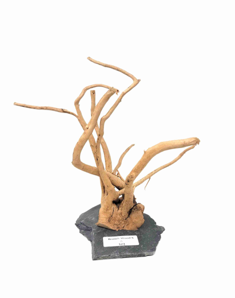Branch Wood S - A