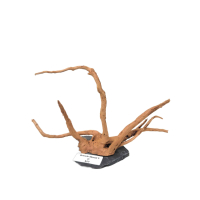 Branch Wood S - D