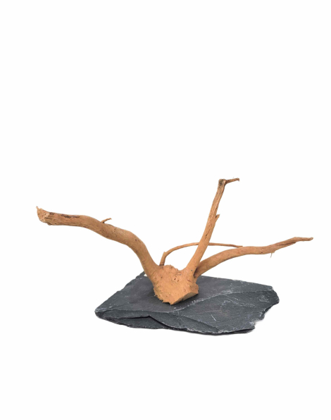 Branch Wood S - F