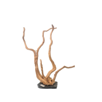 Branch Wood XL - A