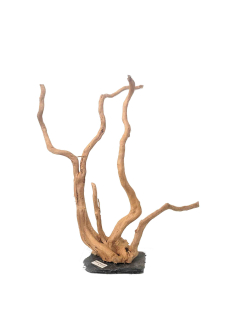 Branch Wood XL - A