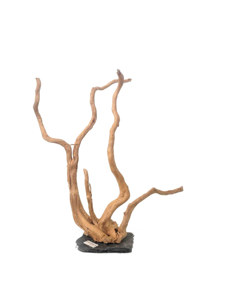 Branch Wood XL - A