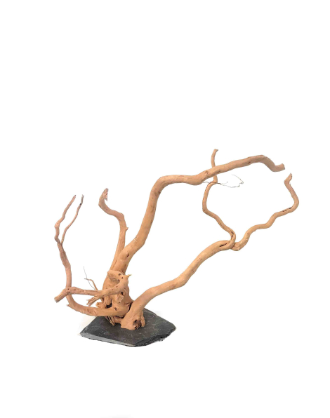 Branch Wood XL - C
