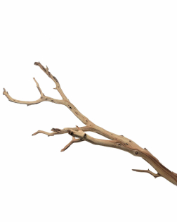 Ghostwood L (A)