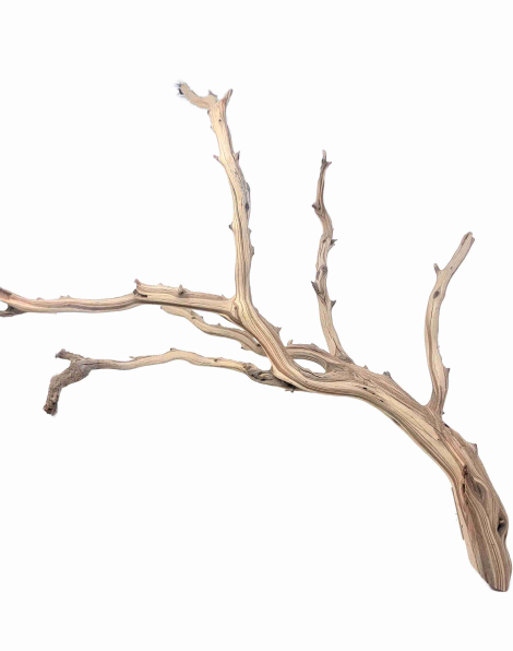Ghostwood L (B)