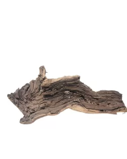 Grapewood M (A)