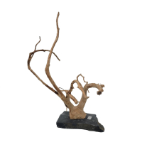 Branch Wood M - A