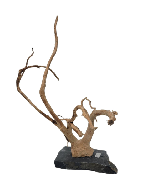Branch Wood M - A