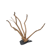 Branch Wood M - D