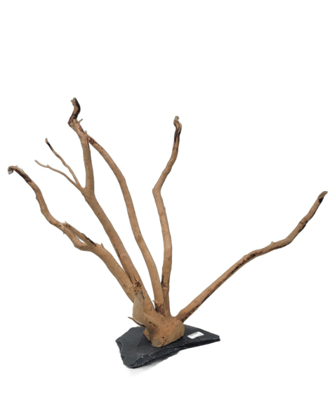 Branch Wood M - D