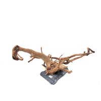 Branch Wood M - E