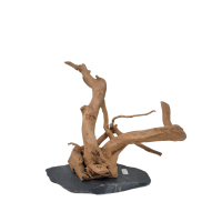 Branch Wood M - F