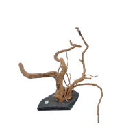 Branch Wood M - G
