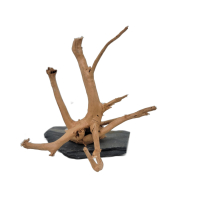 Branch Wood S - A