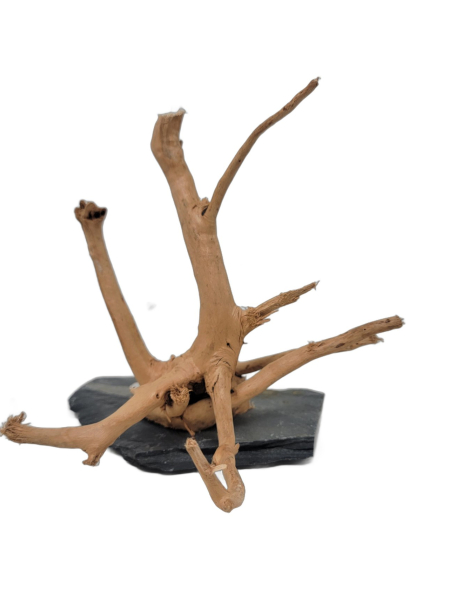 Branch Wood S - A