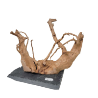 Branch Wood S - B