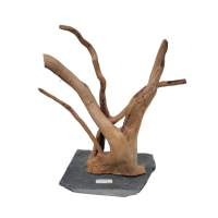 Branch Wood S - C