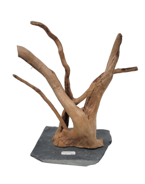 Branch Wood S - C
