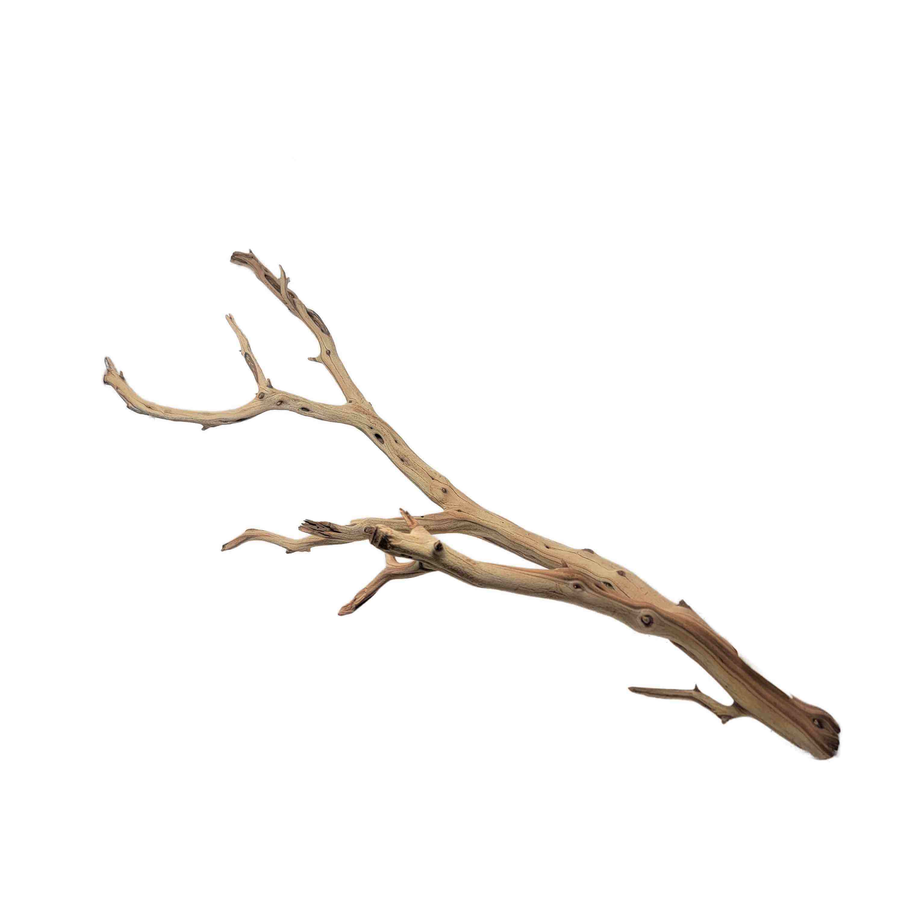 Ghostwood L (A)