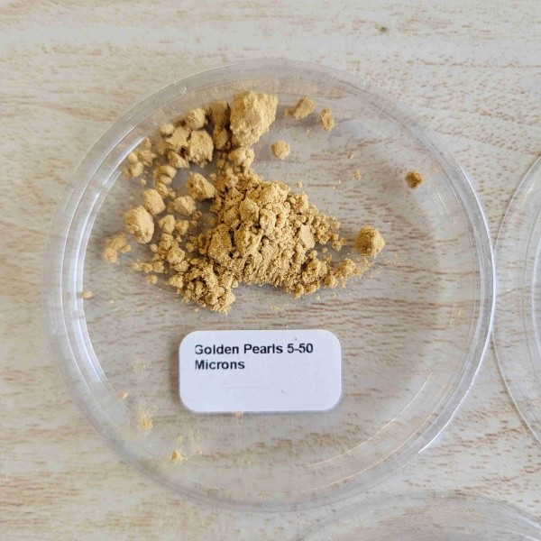 Golden Pearls