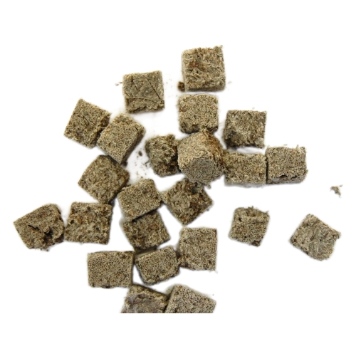 Australian FD Black Worms - 50 grams (cubes) | AngelFins