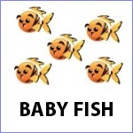 Baby Fish