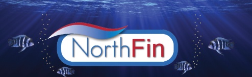 Image result for northfin fish food